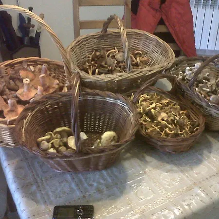 La Llar De